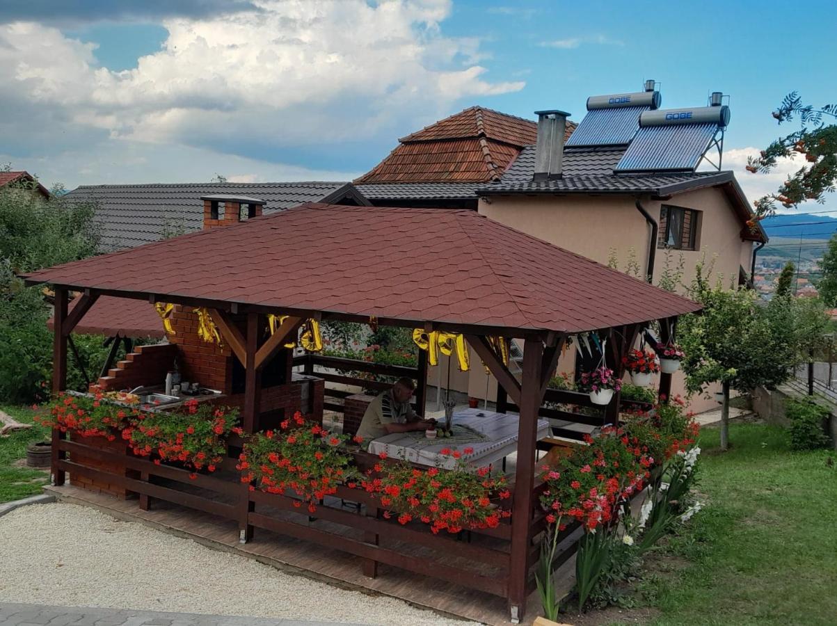 Casa Alex Ξενοδοχείο Topliţa Εξωτερικό φωτογραφία