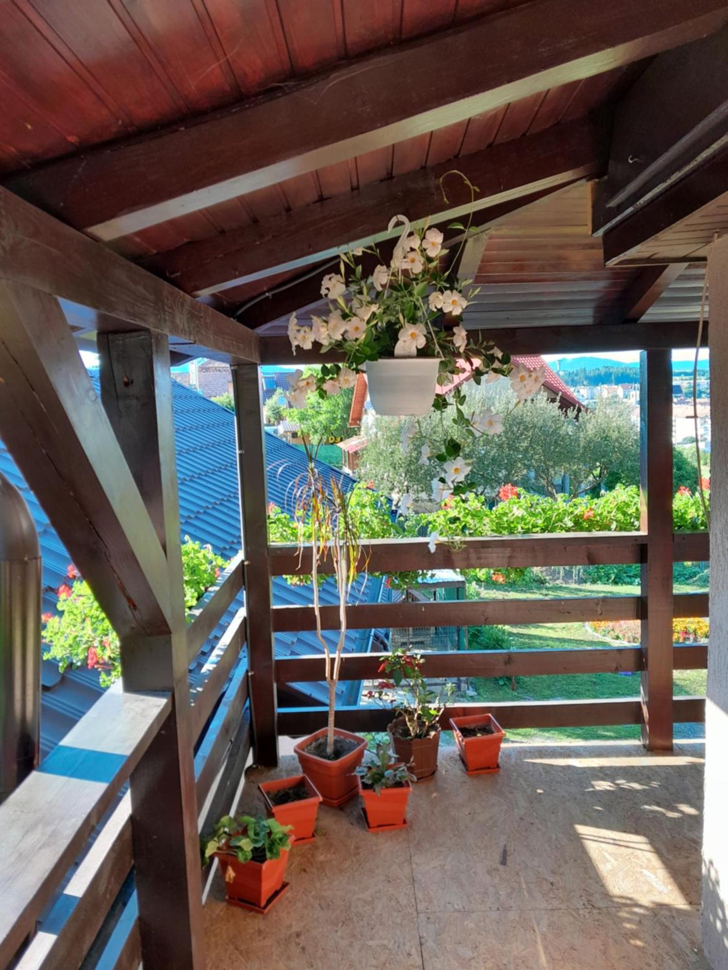 Casa Alex Ξενοδοχείο Topliţa Εξωτερικό φωτογραφία